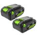 Greenworks TwinPack 24V 4Ah accu High Power USB-C