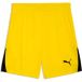 PUMA teamLIGA26 Shorts