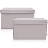 LIFENEY Set van 2 opbergdozen voor kinderen, 37 x 25 x 21 cm, opbergmand voor kinderkamer en woonkamer, kinderopbergkist (lichtgrijs)