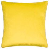 Paoletti Meridian Velvet Piped Polyester Gevuld Kussen