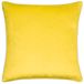 Paoletti Meridian Velvet Piped Polyester Gevuld Kussen