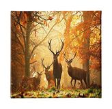 Homemania Wandfoto, hert, dieren, voor woonkamer, slaapkamer, meerkleurig, 60 x 3 x 60 cm, HM20KNV60 x 60 – 193, polyester, hout