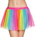 Boland Regenboog Tutu Volwassenen Fee 80's & 90's Disco Prinses