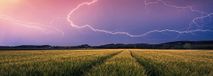 Ravensburger Erwachsenenpuzzle 500 Teile - Sommergewitter