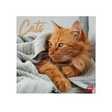 Legami Wandkalender 2025, grote wandkalender 30 x 29 cm, 12 maanden en jaarplanner, ruimte voor notities en notities, 6 talen, sterrenbeelden en internationale feestdagen, katten