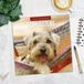 Red Robin Schnauzer Kalender 2027