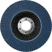 Flexovit Lamellenschijf 120 Grit - 125mm