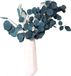 ZenithVibe Fleurs séchées bleues, 40 * 20 * 5 Eucalyptus Fleurs séchées Durée de conservation éternelle Bouquet de fleurs séchées Décoration Salon Décoration (Bleu)
