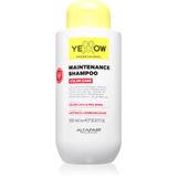 Yellow Professional Color Care Shampoo 500 ml