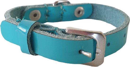 ALOKÉ Hondenhalsband / Halsband (01673LA) - Lak Leder - Turquoise - XXS - Nekomvang: 13,5 - 17,5 cm (GELIEVE ALVORENS BESTELLEN OPMETEN)