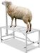 VEVOR Châssis de tonte pour chèvres et moutons, réglable 53,3-83,8 cm, blanc
