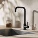 Pure.Sink Robinet de cuisine noir mat PS8010-10