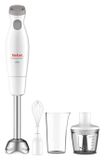 Tefal Easychef HB4531 - Mixeur plongeant - 450W - Blanc/Inox