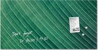Sigel Glasmagneetbord Artverum 91x46cm Groen Palm Leaf