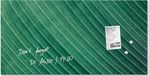 Sigel Glasmagneetbord Artverum 91x46cm Groen Palm Leaf