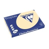 Clairefontaine Gekleurd Papier Gems 120 grams A3 (250 vel) - 3329685130305
