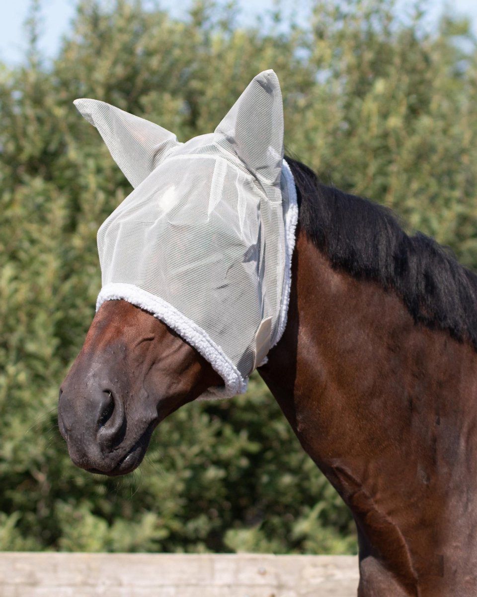QHP Vliegenkap met oren - Pony