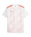 PUMA teamLIGA Grafisch Jersey