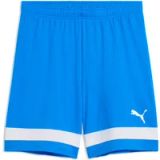 Puma IndividualRise Team Rise Short