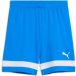 Puma IndividualRise Team Rise Short