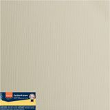Vaessen Creative Florence Karton - Muis - 305x305mm - Ruwe textuur - 216g