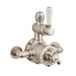 Hudson Reed Elizabeth - Mitigeur de douche thermostatique rétro exposé à 1 fonction - Nickel brossé