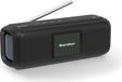 Kärcher DAB Go - Radio numérique (DAB+) - Haut-parleur Bluetooth