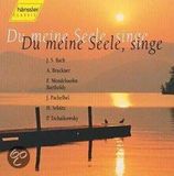 Merkloos / Sans marque Challenge Records International B.V. Du Meine Seele, Singe