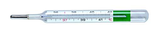 Flaem Accu-Therm thermometer ecologisch 10 stuks - 120 g