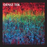 Sonic Rendezvous Deniz Tek - Mean Old Twister (LP)