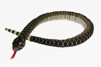 Cornelissen Ratelslang knuffel - pluche - slang knuffeldier - donkergroen - 100 cm