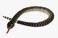 Cornelissen Ratelslang knuffel - pluche - slang knuffeldier - donkergroen - 100 cm