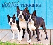 For Browntrout Publishers For the Love of Boston Terriers 2027 14 X 24 Inch (Hanging) Monthly Deluxe Wall Calendar Foil Stamped Cover Plastic-Free