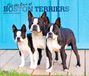 For Browntrout Publishers For the Love of Boston Terriers 2027 14 X 24 Inch (Hanging) Monthly Deluxe Wall Calendar Foil Stamped Cover Plastic-Free