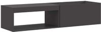 vidaXL Vuurkom Zwart 160 x 45 x 35 cm Weervast Staal