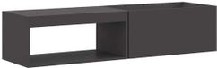vidaXL Vuurkom Zwart 160 x 45 x 35 cm Weervast Staal