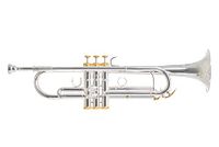 Roy Benson Bb-Trompet Charli Green Signature