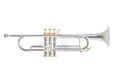 Roy Benson Bb-Trompet Charli Green Signature