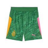 PUMA Sportbroek 'AC Milan 25/26' groen / grasgroen / oranje / pink