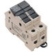 Weidmüller 1444210000 Borne à fusible 25 mm Vis Beige foncé 6 pièce(s)