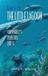 Tales Libri GmbH Tales of the Little Lagoon Hardcover