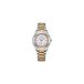 Citizen FE2116-85A Horloge - Staal - Multi - Ø 32 mm