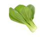 Click & Grow SGR58x3 3 stuk(s) Navulling