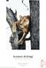 Hahnemuhle German Etching 310g A3+ 25 feuilles