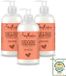 Shea Moisture Coconut & Hibiscus Curl & Shine Conditioner - 384 ml - Lot économique - 3 pièces