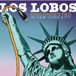 Proper S&D Consignment Los Lobos Disconnected In New York City
