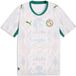 Puma Pumarsey Top Fsf Home Replica 783165
