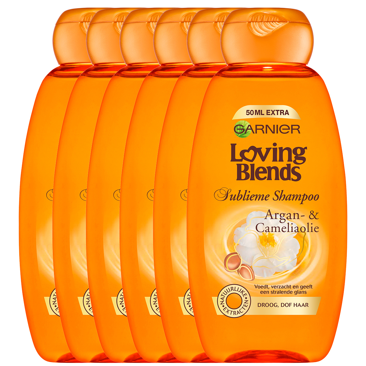 Garnier Loving Blends - Argan & Cameliaolie - Shampoo 6 X 300ML