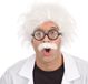 Bristol Novelty Ltd Einstein pruik met snor