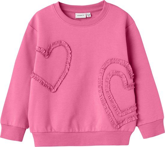 NAME IT Meisjes Roze Katoenen Sweater met Lange Mouwen